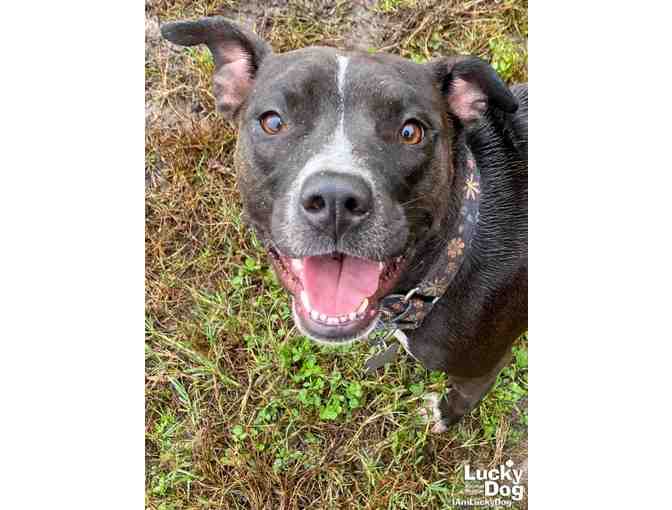 A Springtime Bow for Ellie May