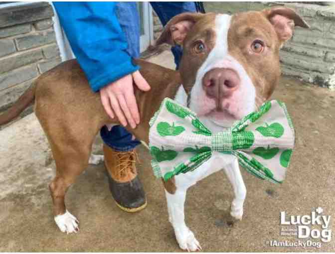 KIWI GREEN IT IS FOR KIKO!