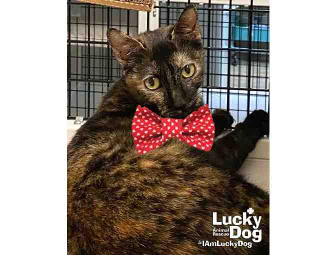 THE MOST LOVING GIRL NEEDS THIS HEARTWARMING BOW