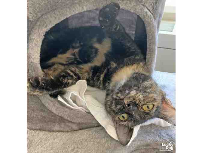 THE MOST LOVING GIRL NEEDS THIS HEARTWARMING BOW