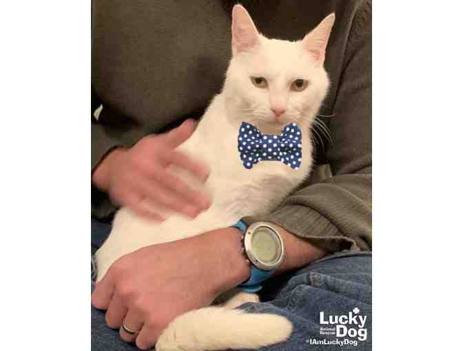 SEND SOME LOVE AND WRAP IT UP IN A BOWTIE