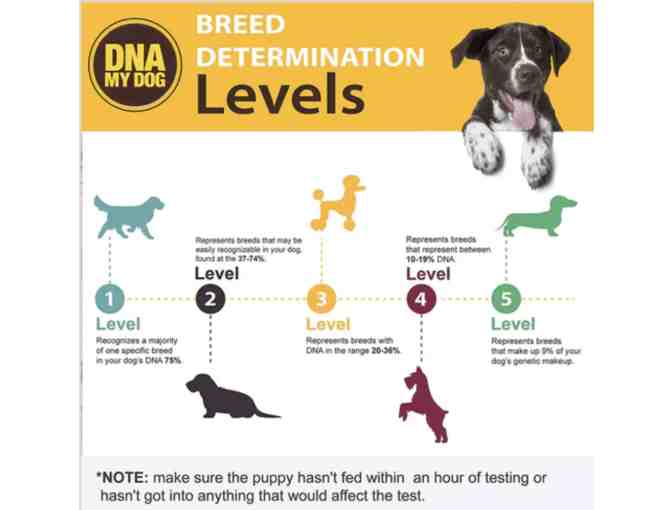 RAFFLE: Where do I come from? Dog DNA Kit