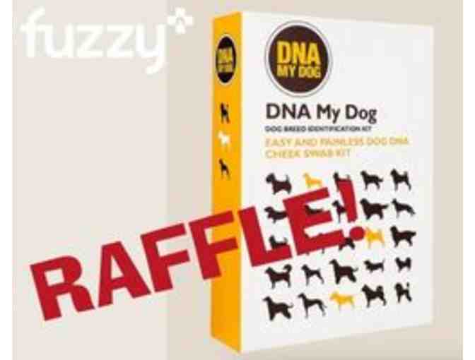 RAFFLE: Where do I come from? Dog DNA Kit