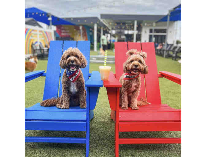 A Barking GOOD TIME! at Bark Social, MD - annual membership - Photo 4