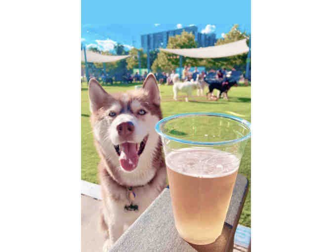 A Barking GOOD TIME! at Bark Social, MD - annual membership - Photo 5