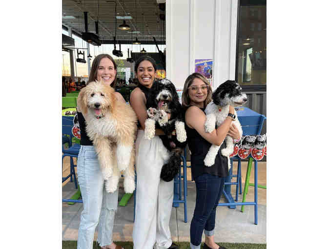 A Barking GOOD TIME! at Bark Social, MD - annual membership - Photo 7