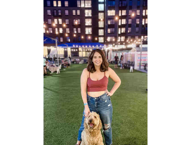 A Barking GOOD TIME! at Bark Social, MD - annual membership - Photo 9