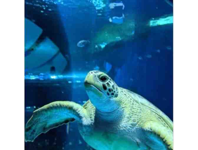 MISSISSIPPI AQUARIUM