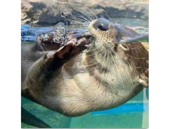 MISSISSIPPI AQUARIUM