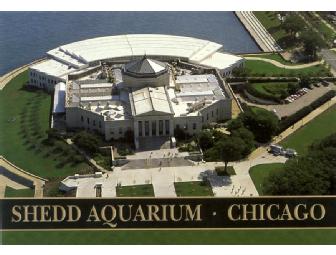 Day at Chicago's Museum Campus: Field Museum & Shedd Aquarium