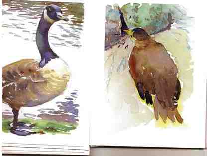 Frank Costantino Bird Card Set watercolor reproductions