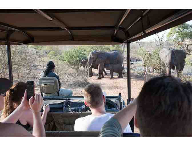 All-Inclusive South Africa Ezulwini Photo Safari for 6 Nights /2 Guests