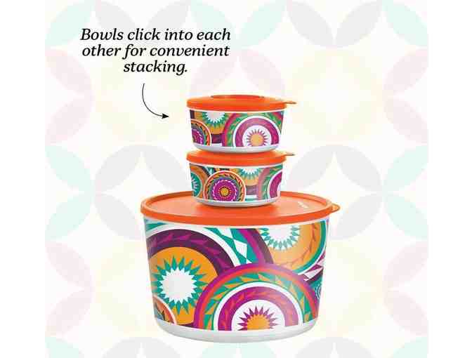 Tupperware Bowl Bundle