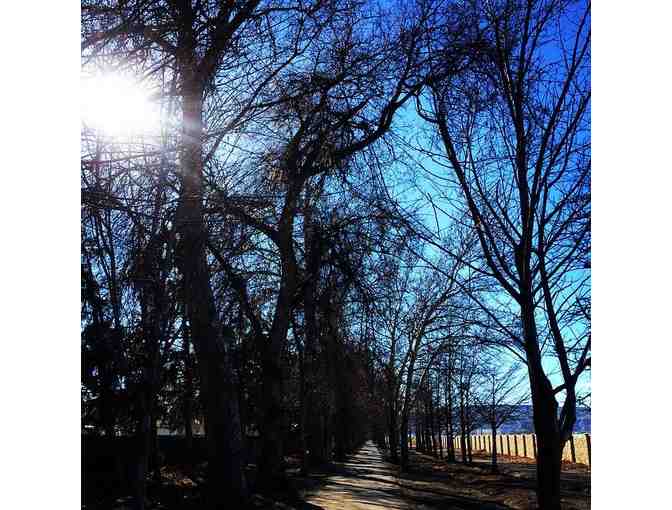 Run with the President