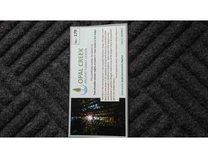 Two Nights and Meals at Beautiful Opal Creek,OR