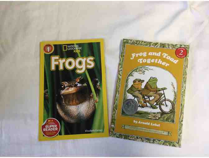 Delightful Froggy Basket