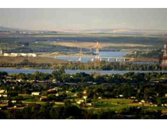 Dan's Poolside BBQ for Eight