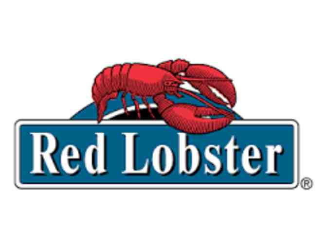 Mid-Columbia Ballet  'Adventures of Madeline and More'