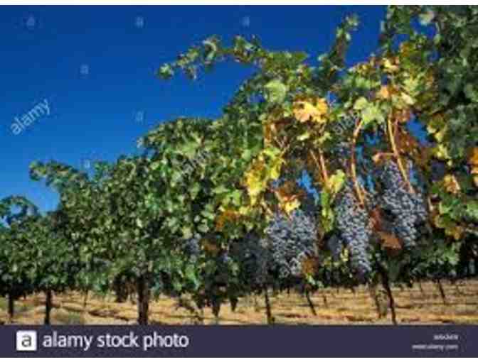 Tasting and Tour for Four plus 2 Magnums