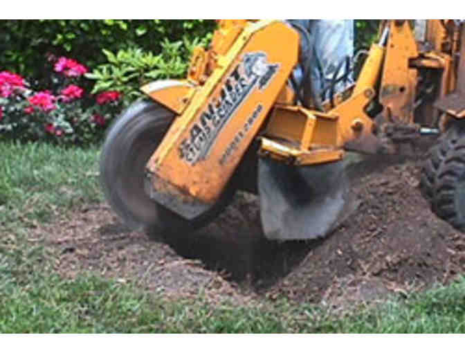 One Complete Stump Grinding, Cleanup, Removal and Topsoil Fill