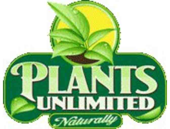 $50 Plants Unlimited Gift Cert - Photo 1