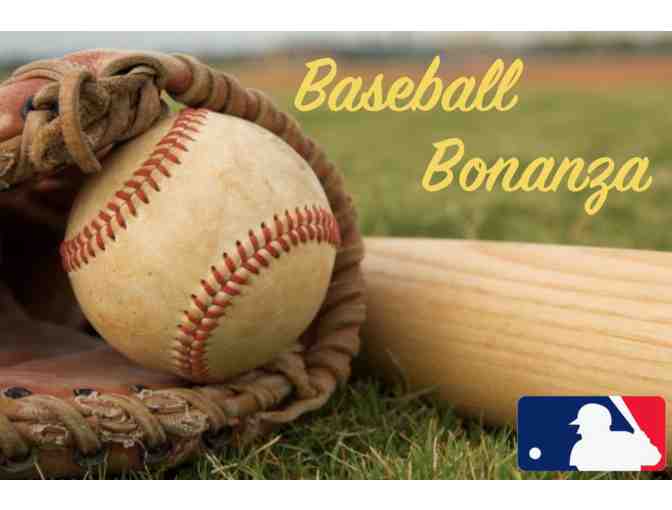 Baseball Bonanza