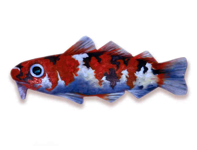 'Coy Koi Fish' - by Claudia Kaufman