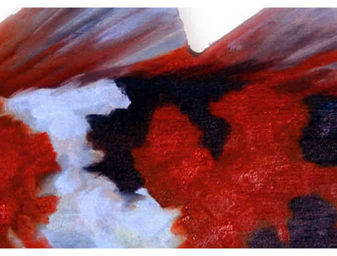 'Coy Koi Fish' - by Claudia Kaufman