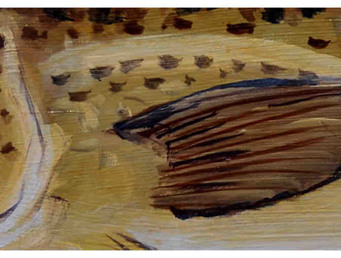 'Cod' - by Patti O'Hare Williams