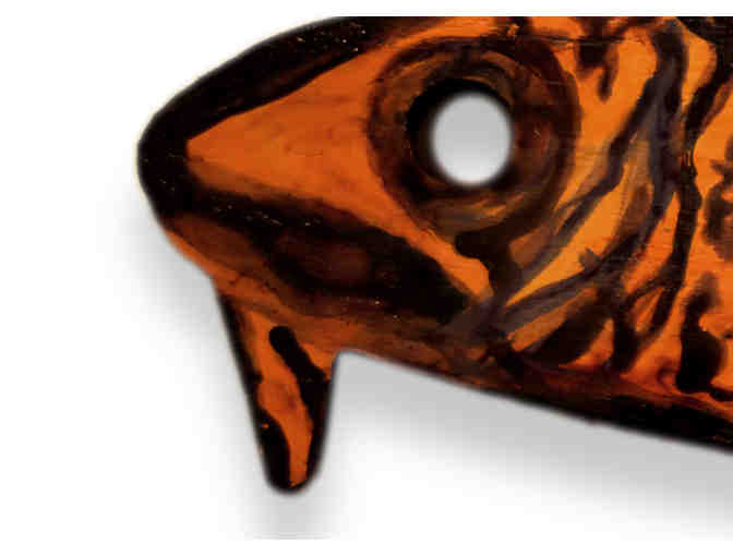 'Orange Dollie Magic' - by Susan Dodge