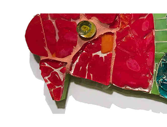 'Rainbow Cod' - by Ellen Garvey and Mary Taddie