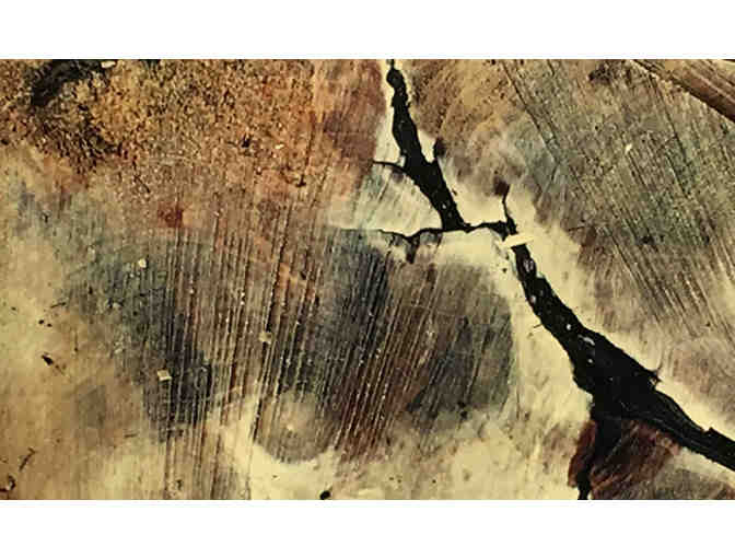 'Felled' - by Karen Gourley Lehman