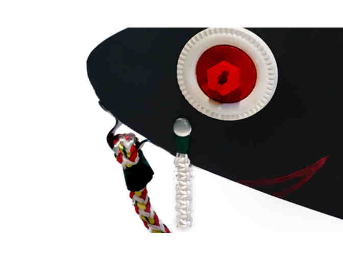 'Playful Codfish' - by Amy Hourihan