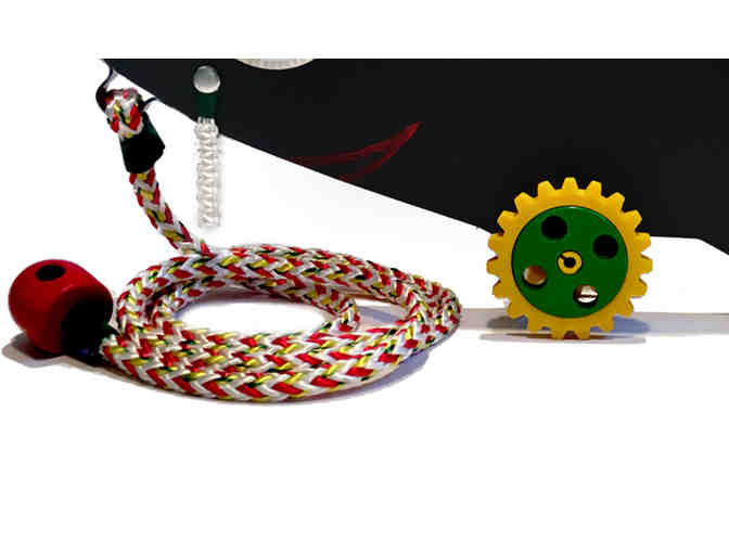 'Playful Codfish' - by Amy Hourihan