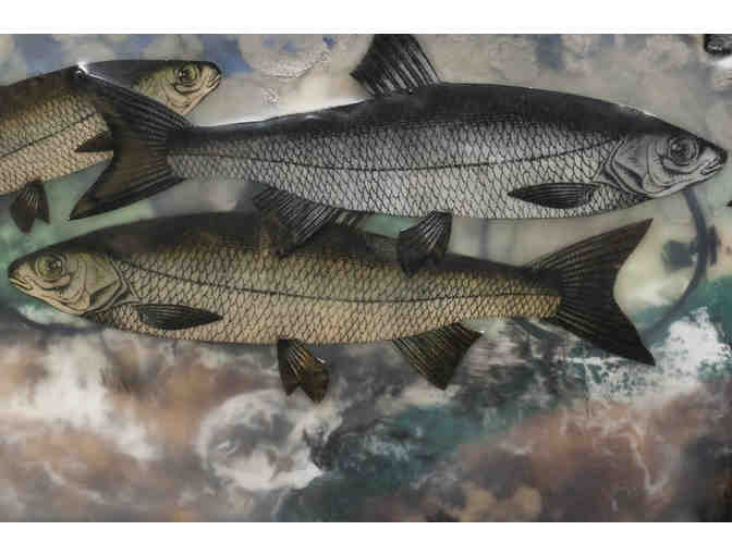 Cod of Understanding by Tammy Picone Nohelty