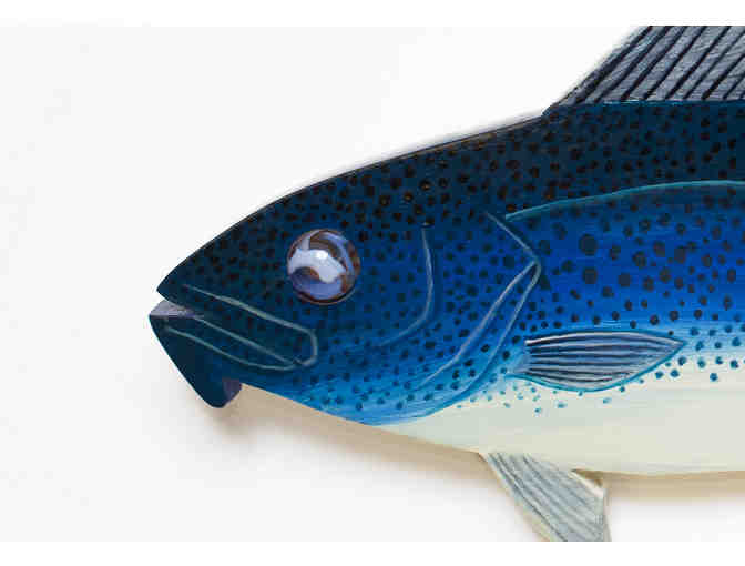 Blue Cod by Dave Barber