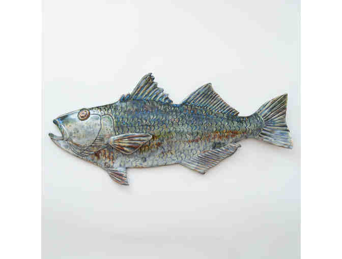 Striped Sea Bass By Kirsten Bassion