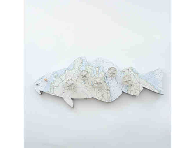 Fish Form Meets Function By Kim Leventhal - Photo 1