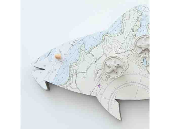 Fish Form Meets Function By Kim Leventhal