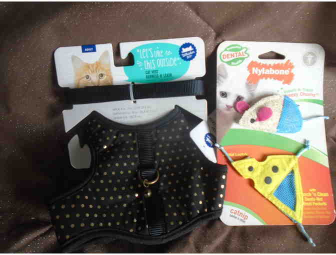 Cat harness for a cat - 9in neck size