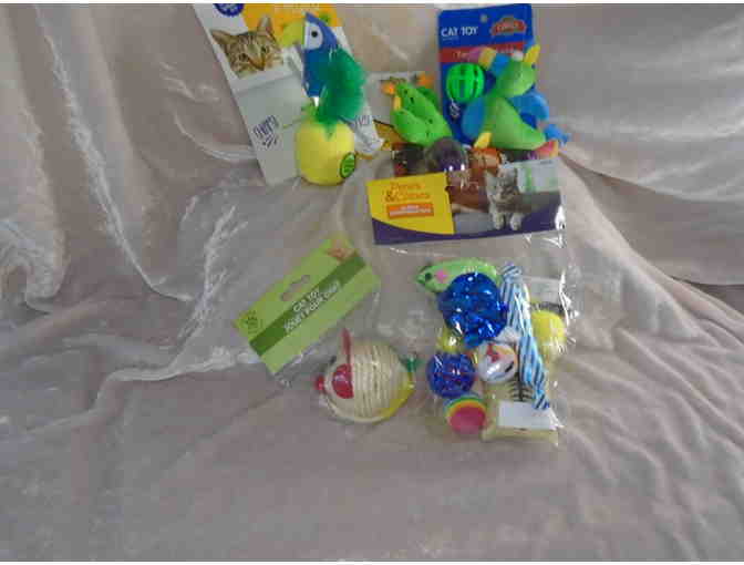 Feline Fun-Box of Cat Toys