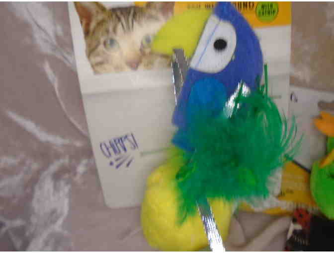 Feline Fun-Box of Cat Toys