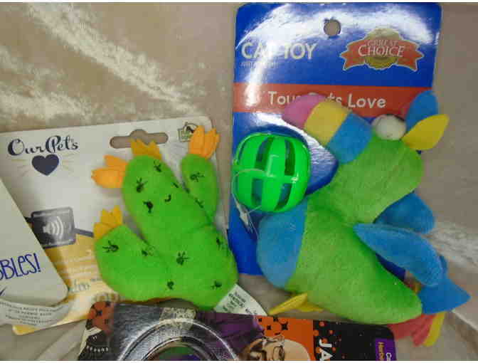 Feline Fun-Box of Cat Toys