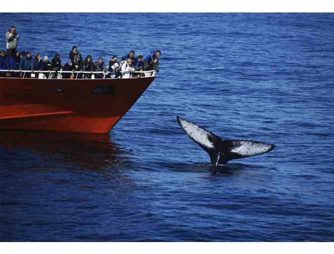 Iceland, Center Hotels Plaza - Two Night Stay with Breakfast for Two Guests