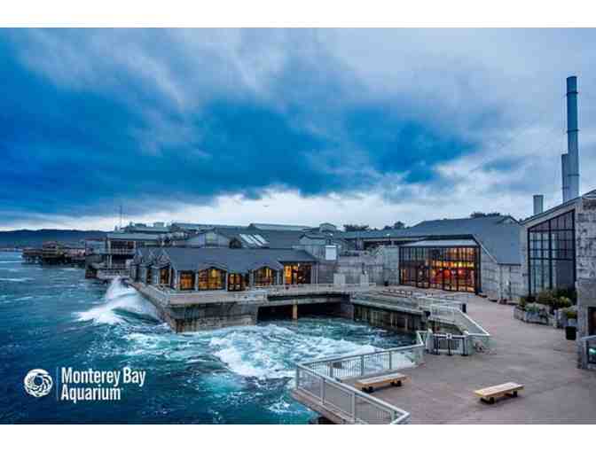 From Sea to C!   A Special Day on Cannery Row!