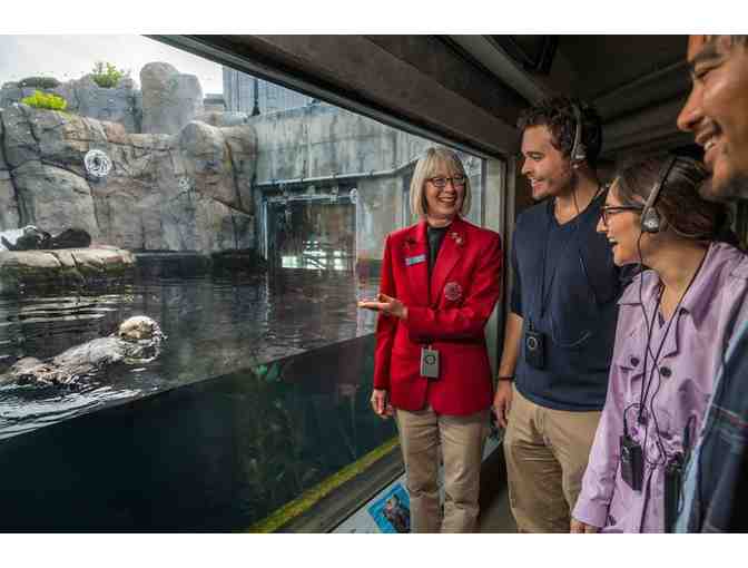 From Sea to C!   A Special Day on Cannery Row!