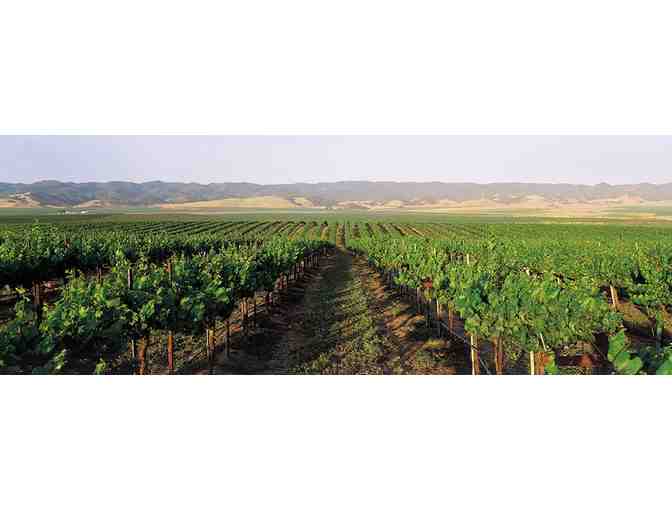 Scheid Family Wines - Annual Harvest Party Outing for Two