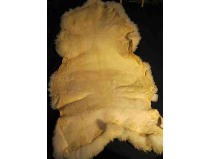 Luscious Sheepskin