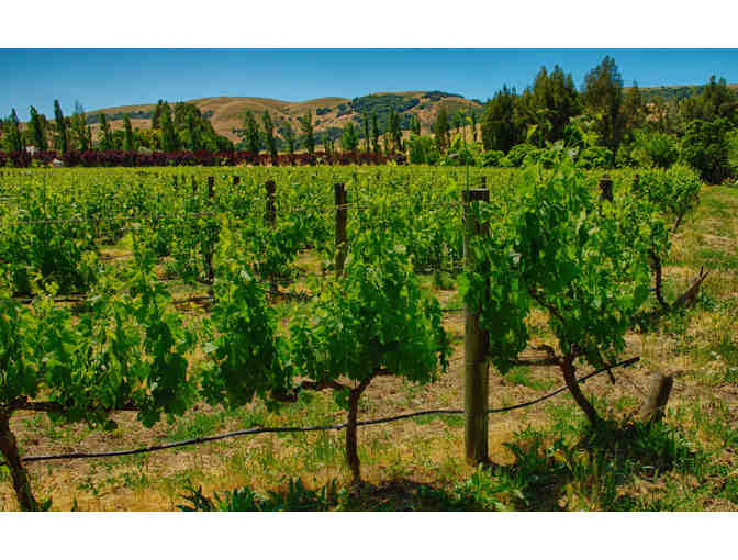 Fine Art Photography - Decor for your Home