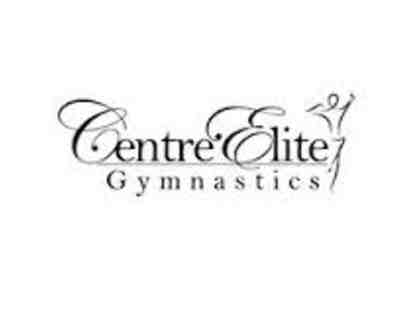 Centre Elite Gymnastics Birthday Party Package
